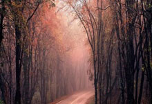 亚特兰大惊险晋级八强，强势登顶！