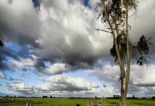 快问快答：曼联八千万以上欧元购入谢什科，曼联4000万