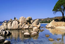 亚特兰大惊险晋级八强，强势登顶！