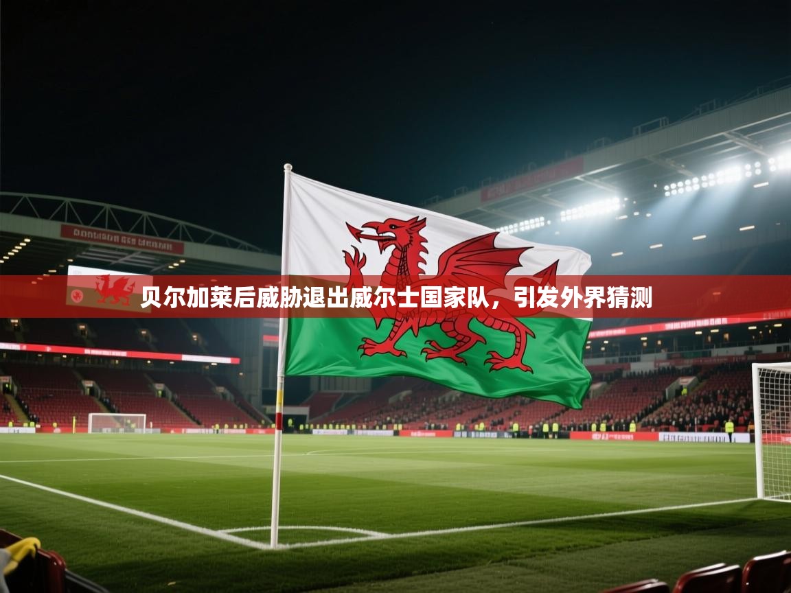 贝尔加莱后威胁退出威尔士国家队，引发外界猜测  第2张