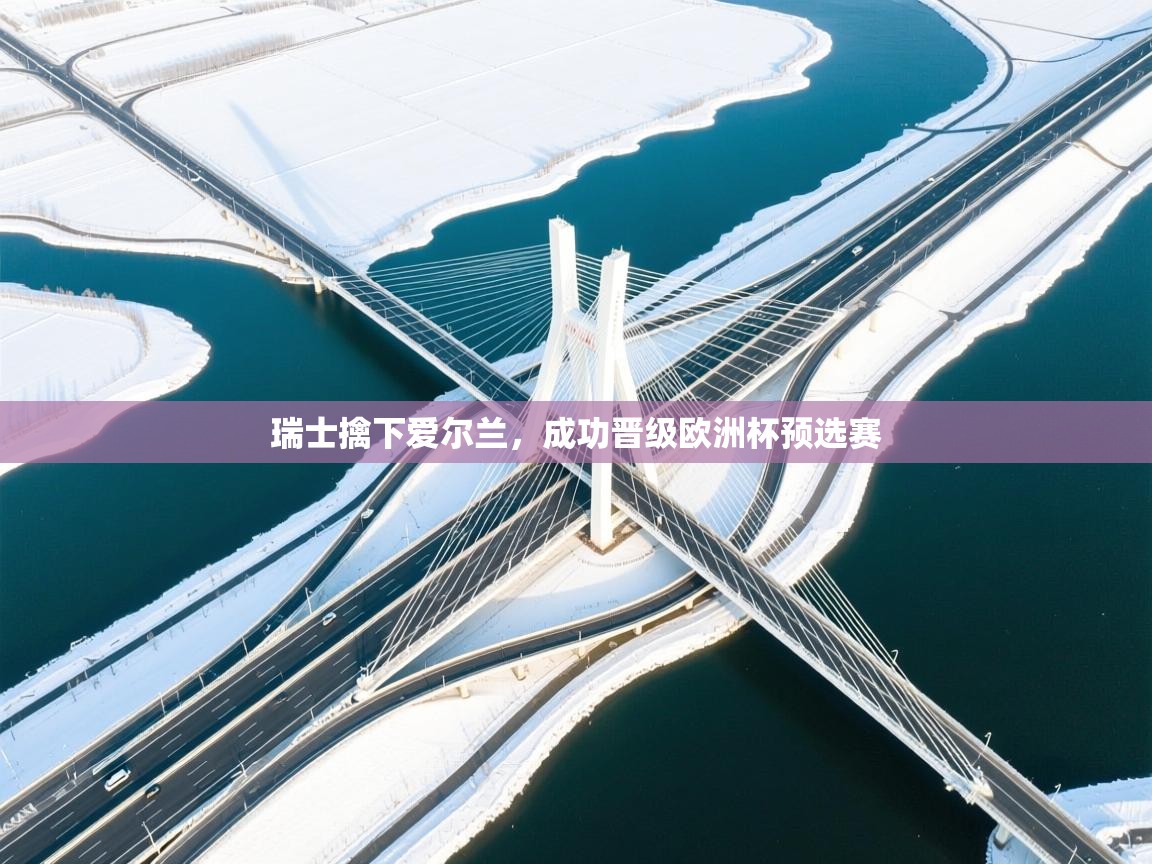 瑞士擒下爱尔兰，成功晋级欧洲杯预选赛